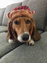 Walter in a hat