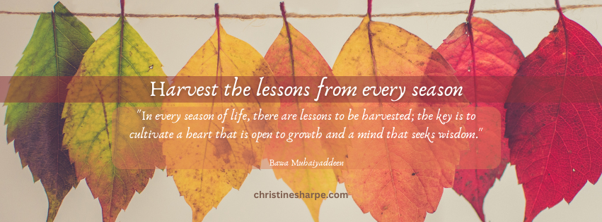 Embracing the Lessons of Each Season: Renewing our Vision in November ...